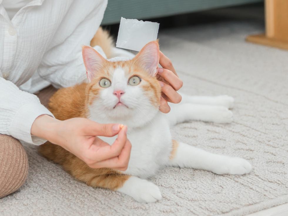 ノミ・マダニ予防